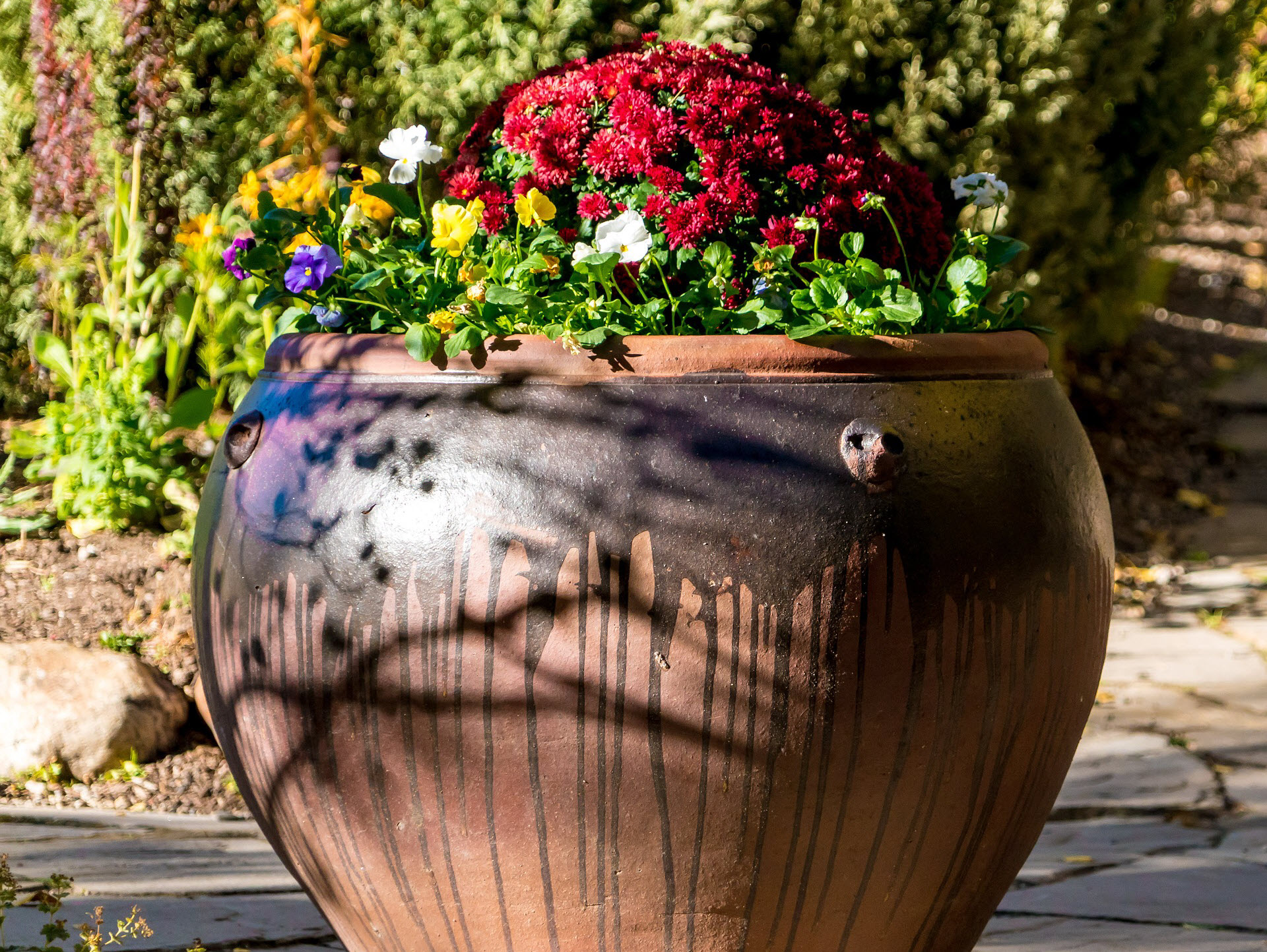 Potted Flowers