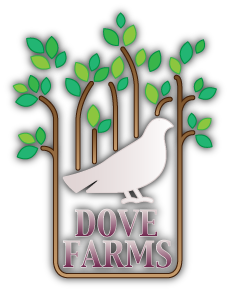 Dove Farms logo