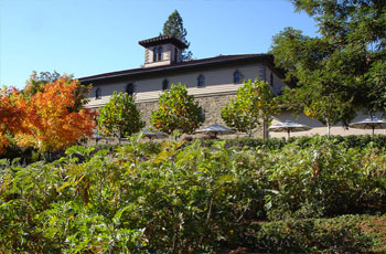 Winery from the grounds